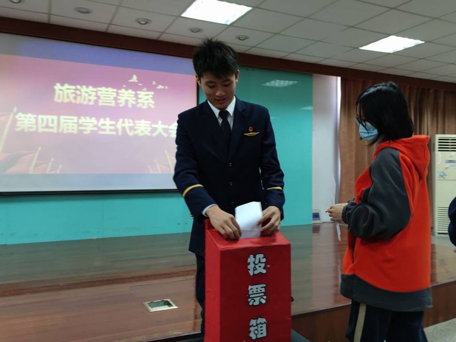 投票.jpg