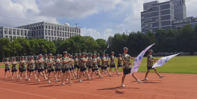 8_640x323.jpg