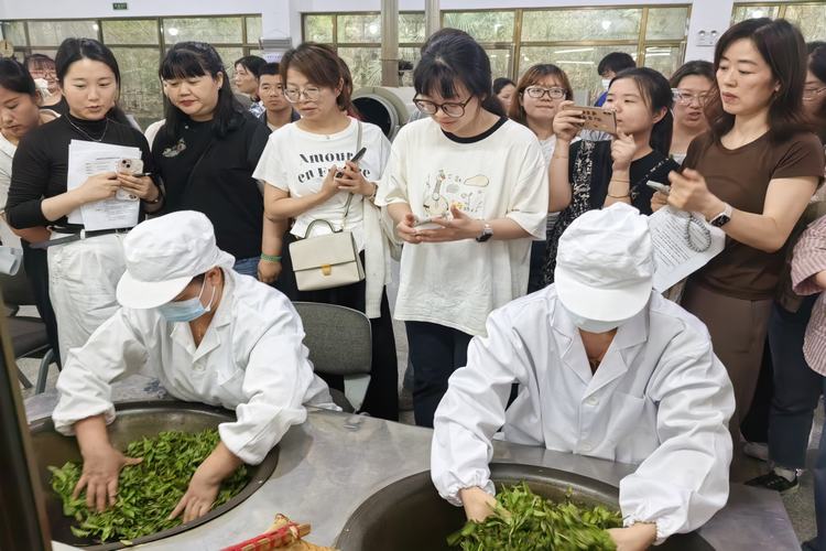 观摩炒茶.jpg
